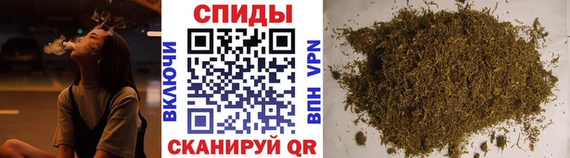Купить закладки  Богородск  Бутират 99% 