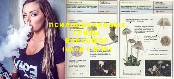 jwh Зерноград
