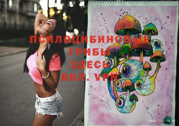 крисы Зеленокумск