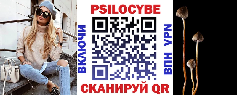 Псилоцибиновые грибы Magic Shrooms  Купить закладки  Богородск 